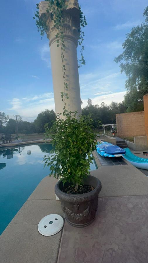 The Oasis Apartamento Redding Exterior foto